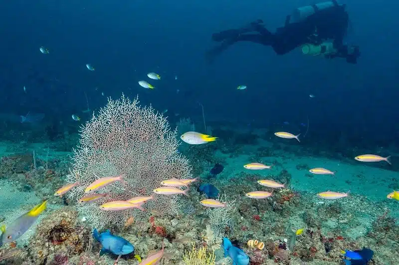 Unlock the Power of the Kraken in the Latest Gaming Sensation in India